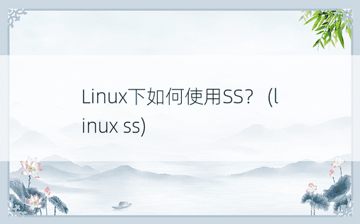 Linux下如何使用SS？ (linux ss)