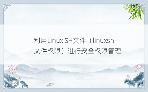 利用Linux SH文件（linuxsh文件权限）进行安全权限管理