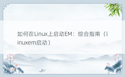如何在Linux上启动EM：综合指南（linuxem启动） 
