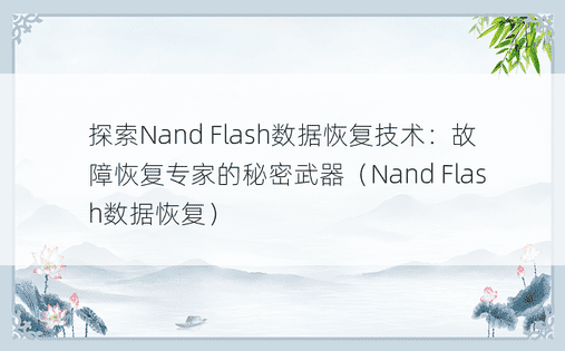探索Nand Flash数据恢复技术：故障恢复专家的秘密武器（Nand Flash数据恢复）