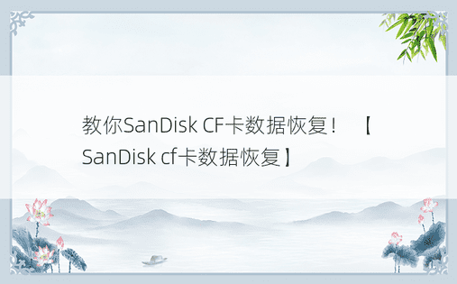 教你SanDisk CF卡数据恢复！ 【SanDisk cf卡数据恢复】