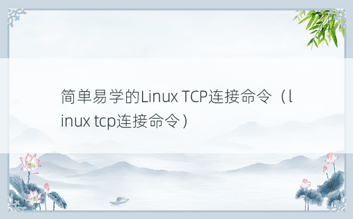 简单易学的Linux TCP连接命令（linux tcp连接命令）