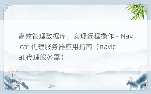 高效管理数据库，实现远程操作 - Navicat 代理服务器应用指南（navicat 代理服务器） 