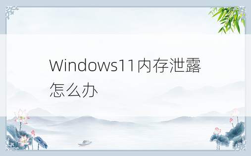 Windows11内存泄露怎么办