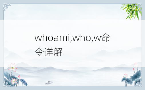 whoami,who,w命令详解