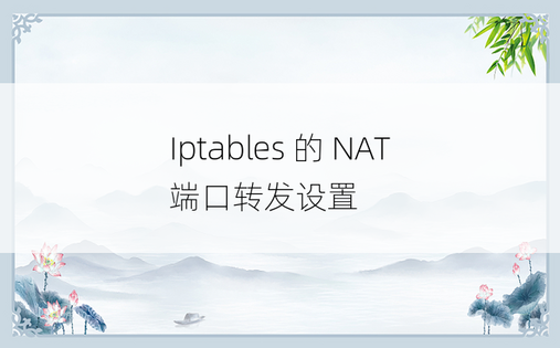 Iptables 的 NAT 端口转发设置 