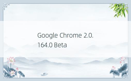 Google Chrome 2.0.164.0 Beta