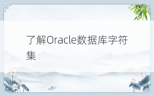 了解Oracle数据库字符集 