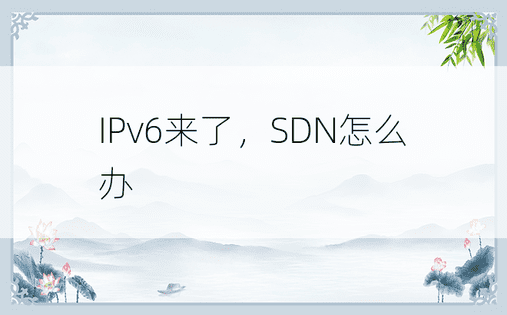 IPv6来了，SDN怎么办