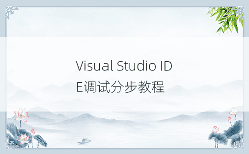 Visual Studio IDE调试分步教程