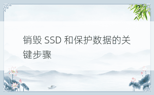 销毁 SSD 和保护数据的关键步骤 