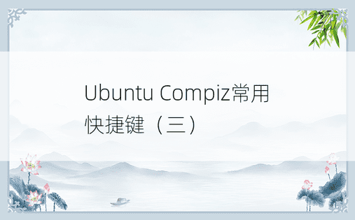 Ubuntu Compiz常用快捷键（三）