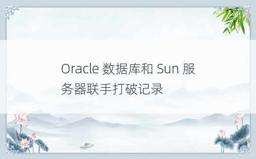 Oracle 数据库和 Sun 服务器联手打破记录 