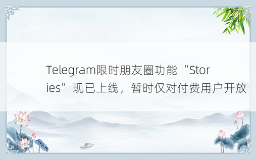 Telegram限时朋友圈功能“Stories”现已上线，暂时仅对付费用户开放