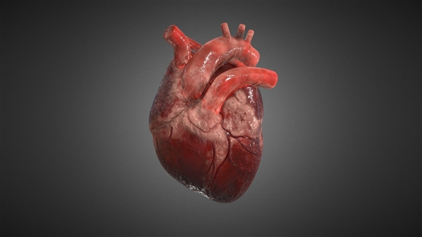 以色列精准复制人体心脏模型：对医药行业意义重大