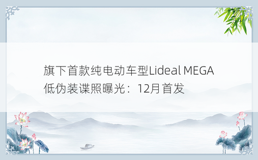 旗下首款纯电动车型Lideal MEGA低伪装谍照曝光：12月首发
