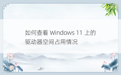 如何查看 Windows 11 上的驱动器空间占用情况
