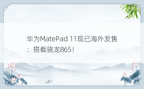 华为MatePad 11现已海外发售：搭载骁龙865！ 