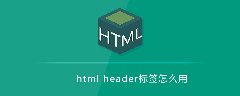 html header标签怎么用
