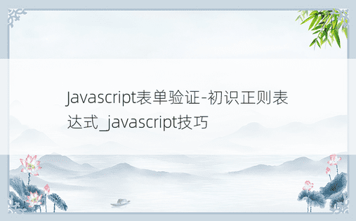 Javascript表单验证-初识正则表达式_javascript技巧