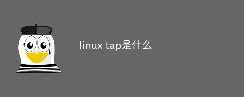 什么是linux tap