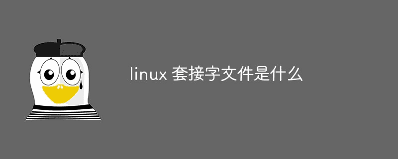 什么是linux套接字文件