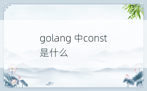 golang 中const是什么