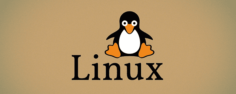 Linux中如何使用file命令显示文件类型？ （代码示例） 
