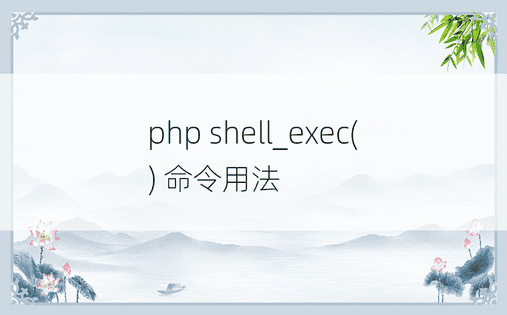 php shell_exec() 命令用法
