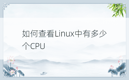 如何查看Linux中有多少个CPU
