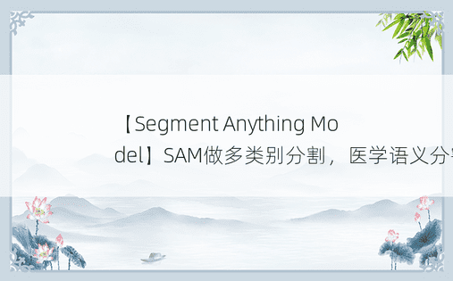 【Segment Anything Model】SAM做多类别分割，医学语义分割