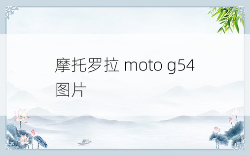 摩托罗拉 moto g54 图片