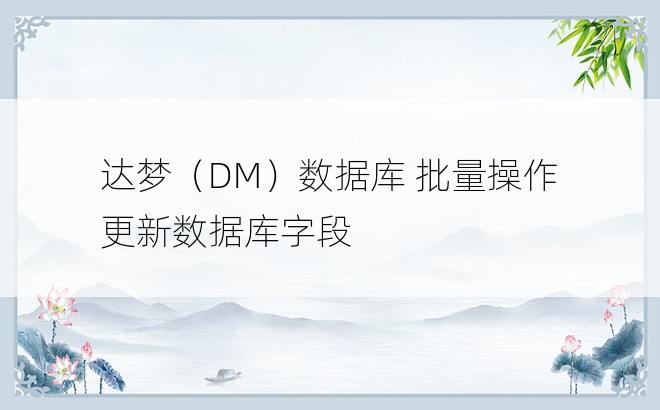 
达梦（DM）数据库 批量操作 更新数据库字段