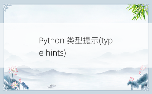 
Python 类型提示(type hints)