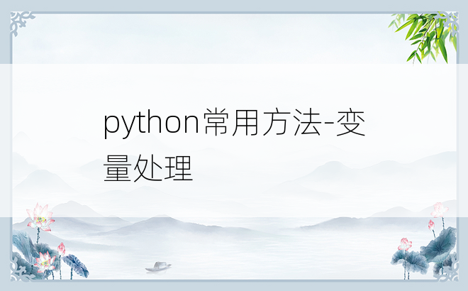
python常用方法-变量处理