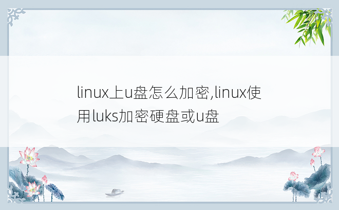 
linux上u盘怎么加密,linux使用luks加密硬盘或u盘