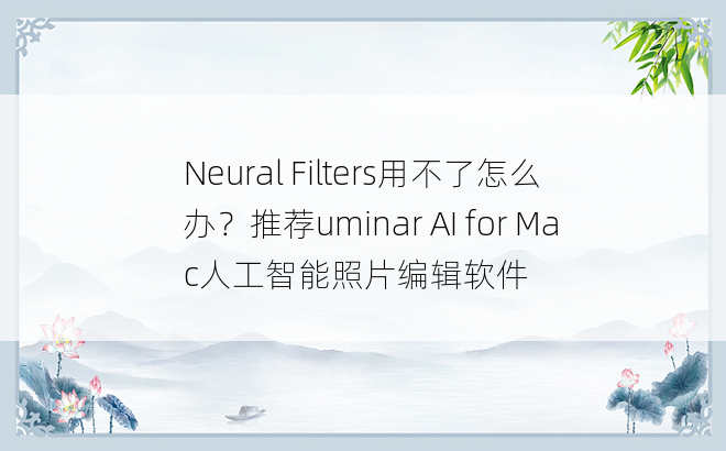 
Neural Filters用不了怎么办？推荐uminar AI for Mac人工智能照片编辑软件