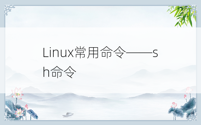 
Linux常用命令——sh命令