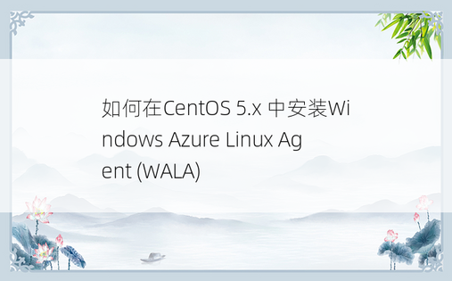 
如何在CentOS 5.x 中安装Windows Azure Linux Agent (WALA)