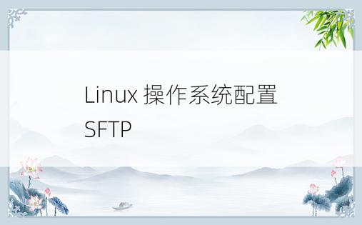 
Linux 操作系统配置 SFTP