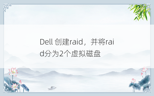 
Dell 创建raid，并将raid分为2个虚拟磁盘