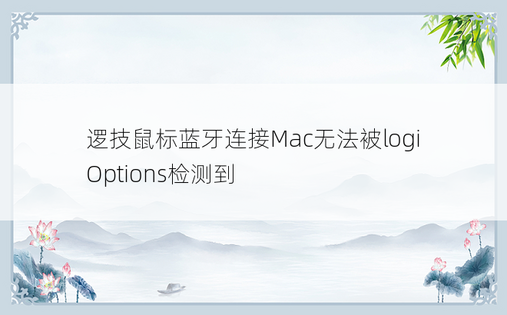 
逻技鼠标蓝牙连接Mac无法被logi Options检测到