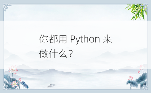 
你都用 Python 来做什么？