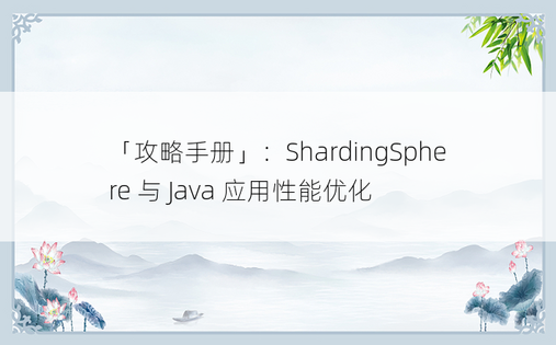 
「攻略手册」：ShardingSphere 与 Java 应用性能优化