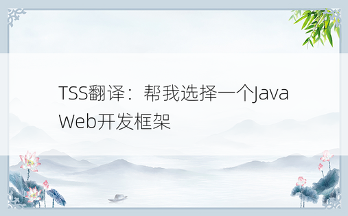 TSS翻译：帮我选择一个Java Web开发框架