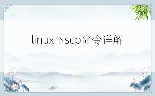 linux下scp命令详解 