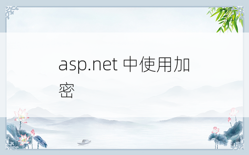 asp.net 中使用加密