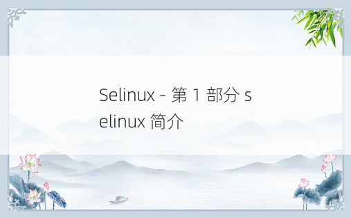 Selinux - 第 1 部分 selinux 简介