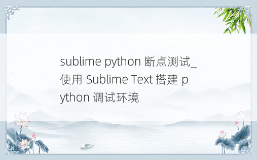 sublime python 断点测试_使用 Sublime Text 搭建 python 调试环境 