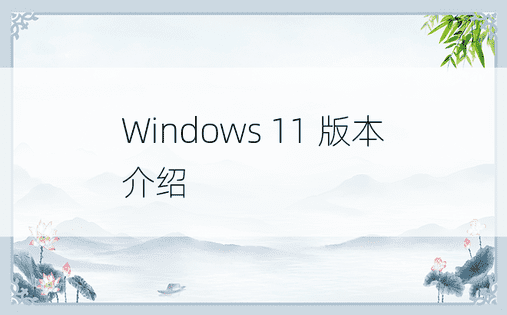 Windows 11 版本介绍